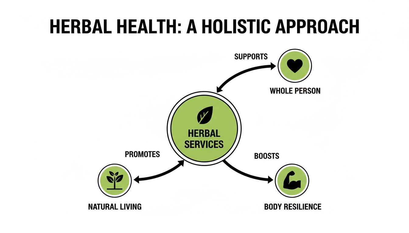 Diagram illustrating herbal health services supporting the whole person, promoting natural living, and boosting body resilience.