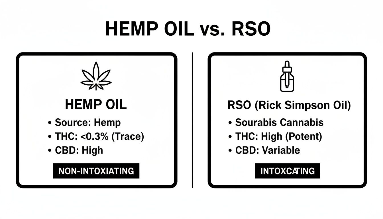 A comparison chart showing the differences between Hemp Oil and RSO (Rick Simpson Oil).