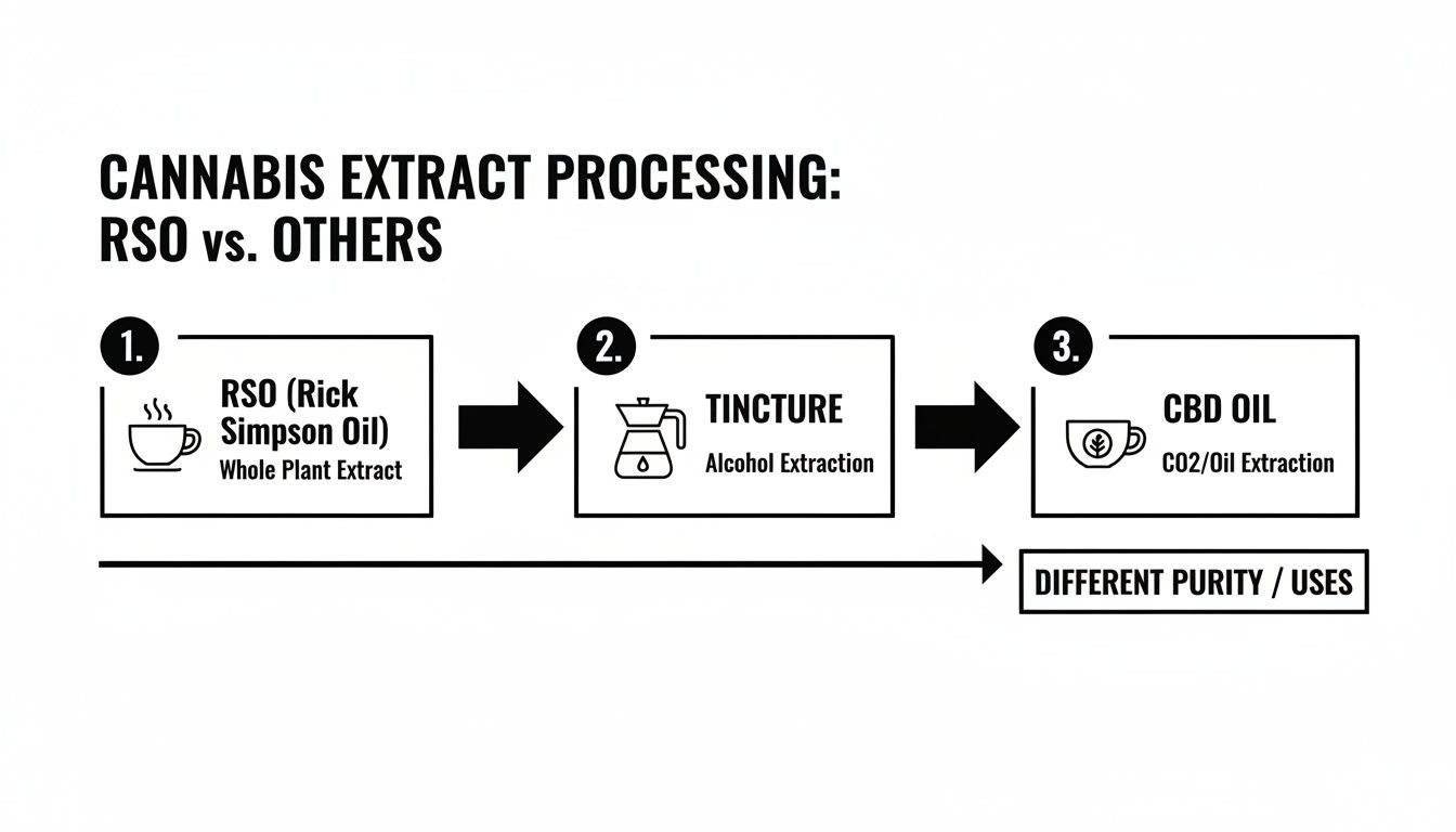 Diagram illustrating cannabis extract processing, including RSO, Tincture (Alcohol Extraction), and CBD Oil (CO2/Oil Extraction).