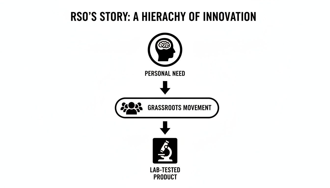 Flowchart illustrating RSO's innovation hierarchy, from personal need to grassroots movement to lab-tested product.