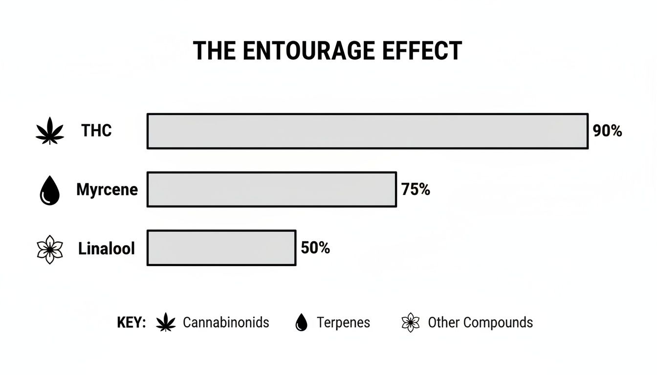 Bar chart illustrating the Entourage Effect, showing THC (90%), Myrcene (75%), and Linalool (50%).