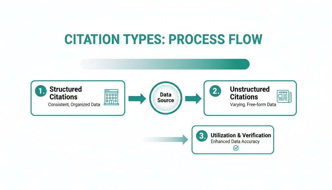 Process flow diagram illustrating structured and unstructured citation types leading to data utilization and verification.