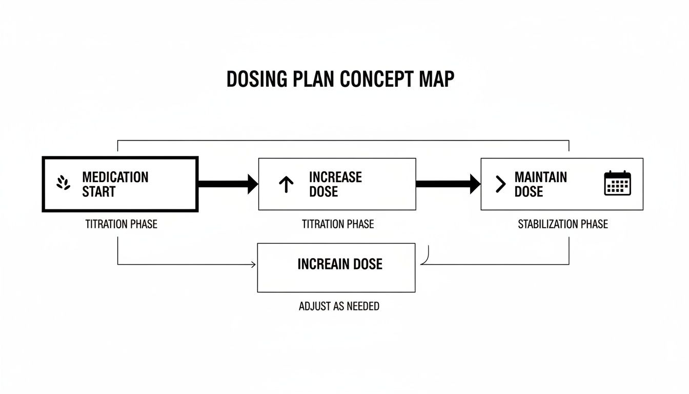 Dosing plan concept map illustrating medication start, dose increase, maintenance, and adjustment phases.