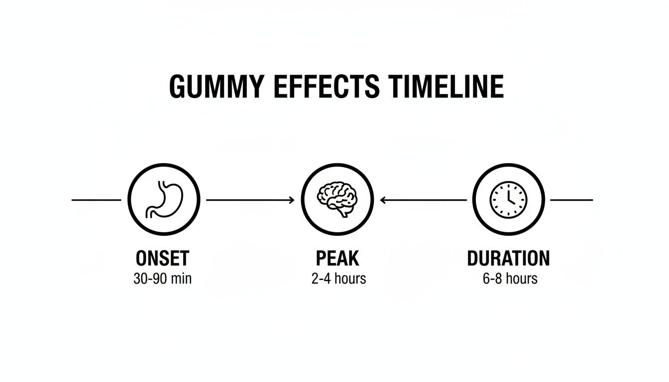 Timeline illustrating gummy effects: onset (30-90 min), peak (2-4 hours), and duration (6-8 hours).