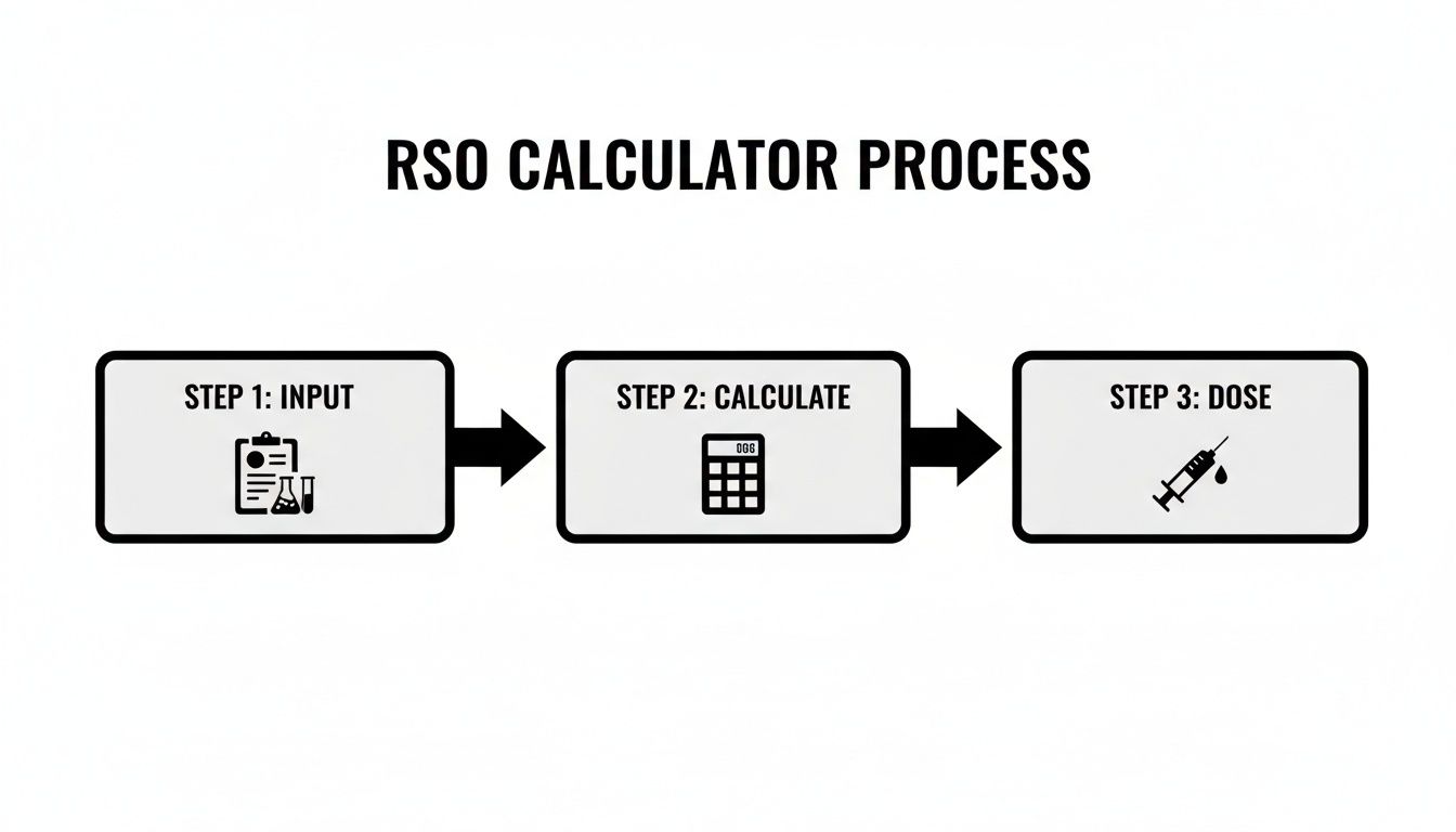 Flowchart illustrating the RSO Calculator Process, showing Input, Calculate, and Dose steps with relevant icons.