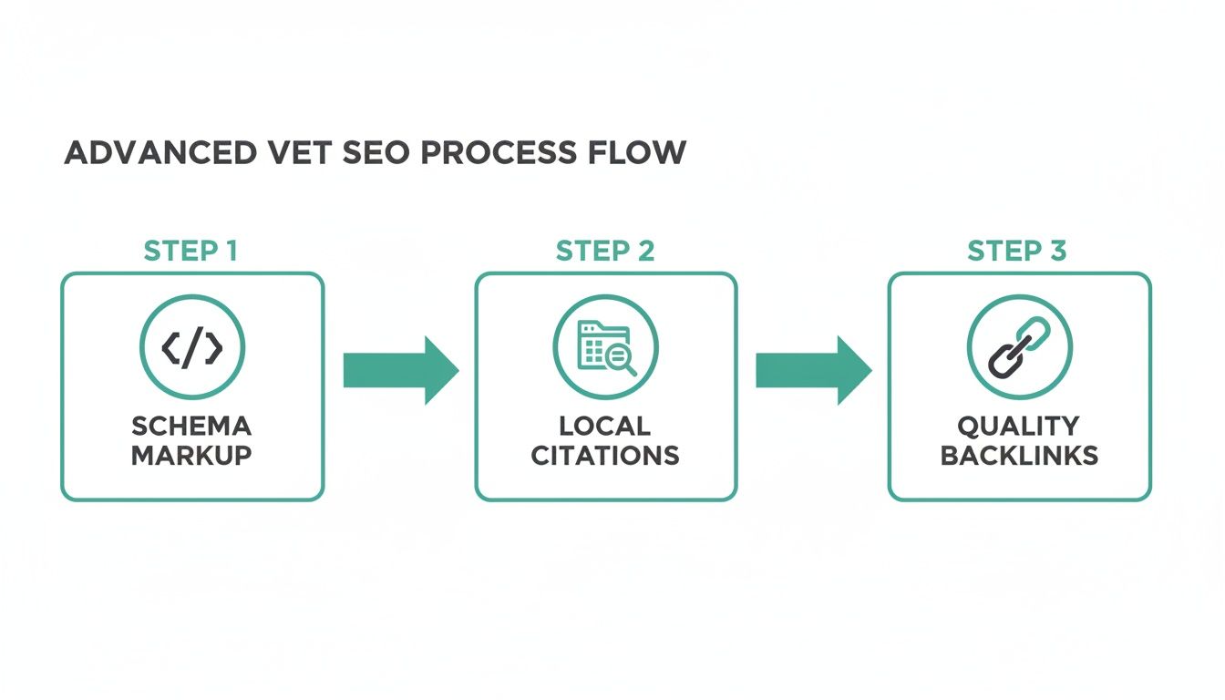 A three-step process flow for advanced veterinary SEO, showing schema markup, local citations, and quality backlinks.