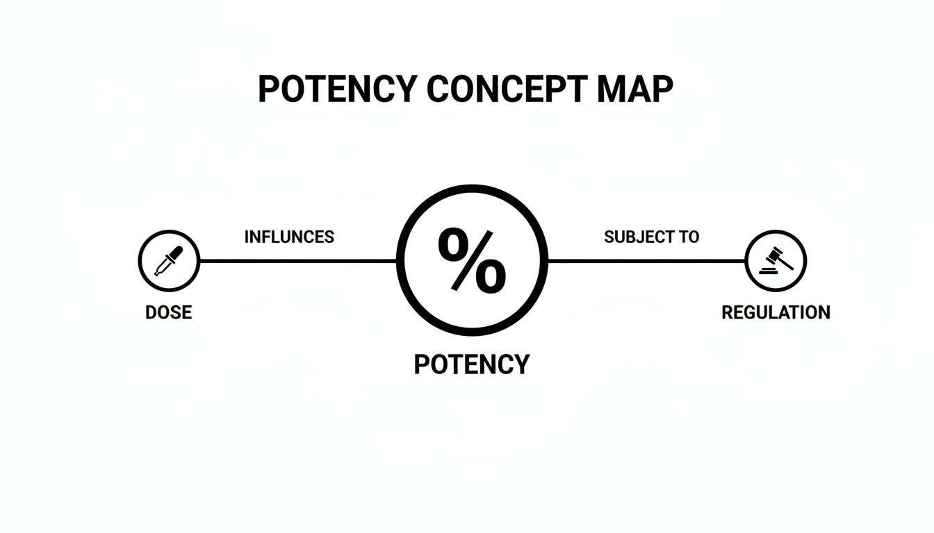 Concept map illustrating potency influenced by dose and subject to regulation with icons.