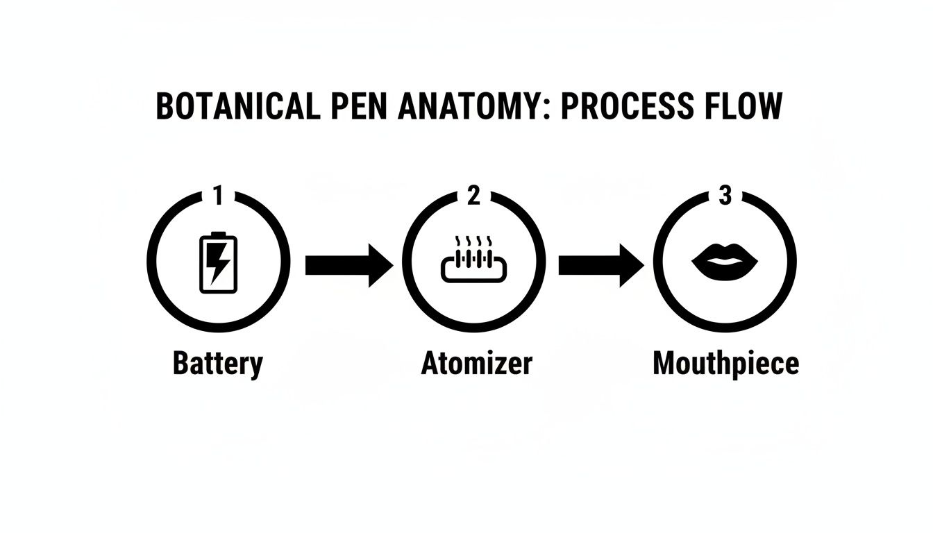Diagram illustrating the three-step process flow of a botanical/wax pen: battery, atomizer, mouthpiece.