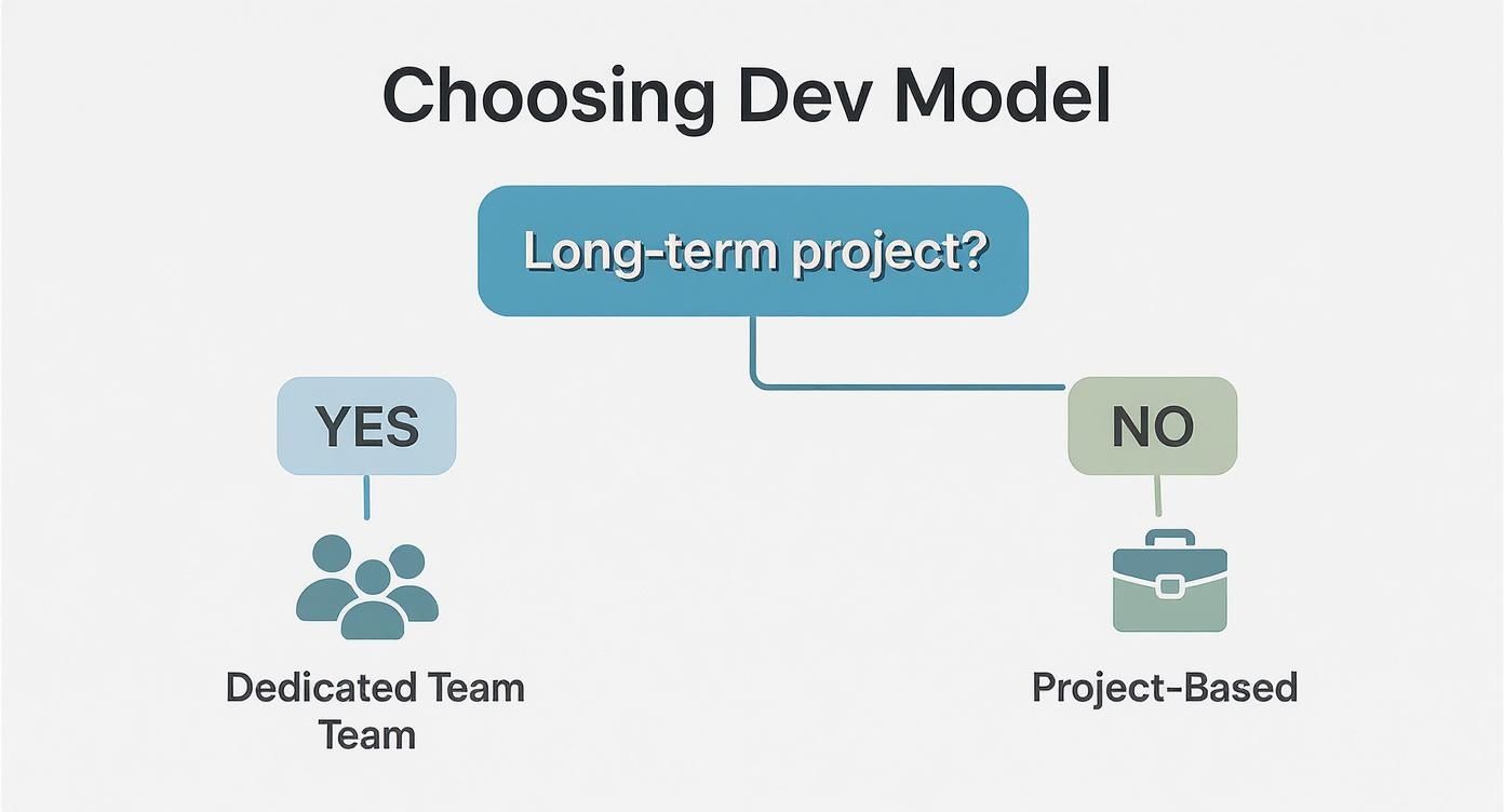 Infographic about dedicated development team model