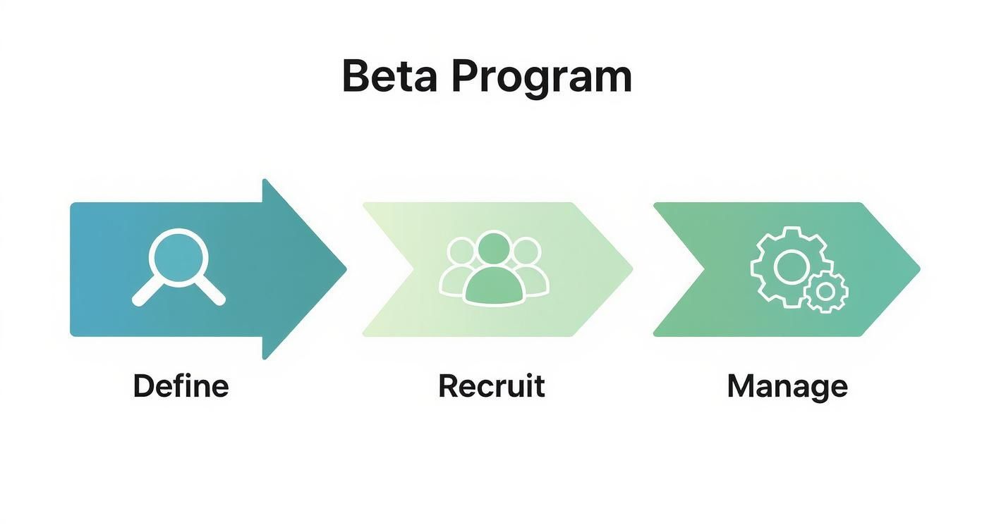 Diagram illustrating the Beta Program steps: Define (magnifying glass), Recruit (people), and Manage (gears).