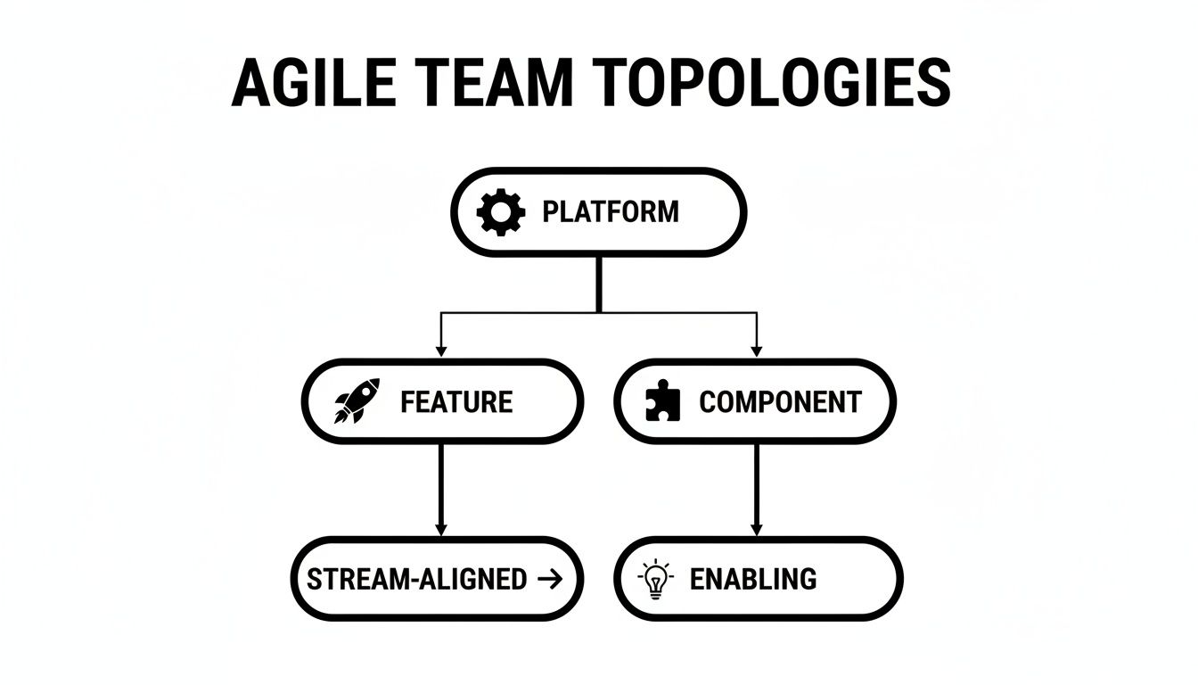 A diagram illustrating Agile Team Topologies, showing Platform, Feature, Component, Stream-Aligned, and Enabling teams.