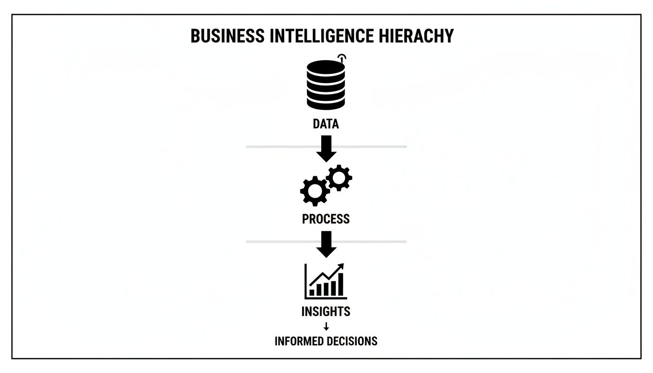 A business intelligence hierarchy diagram showing data flow from processing to insights and informed decisions.