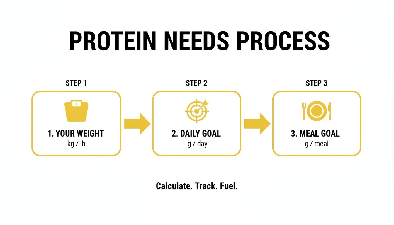 Infographic illustrating a 3-step protein needs process: calculate weight, daily, and meal goals.