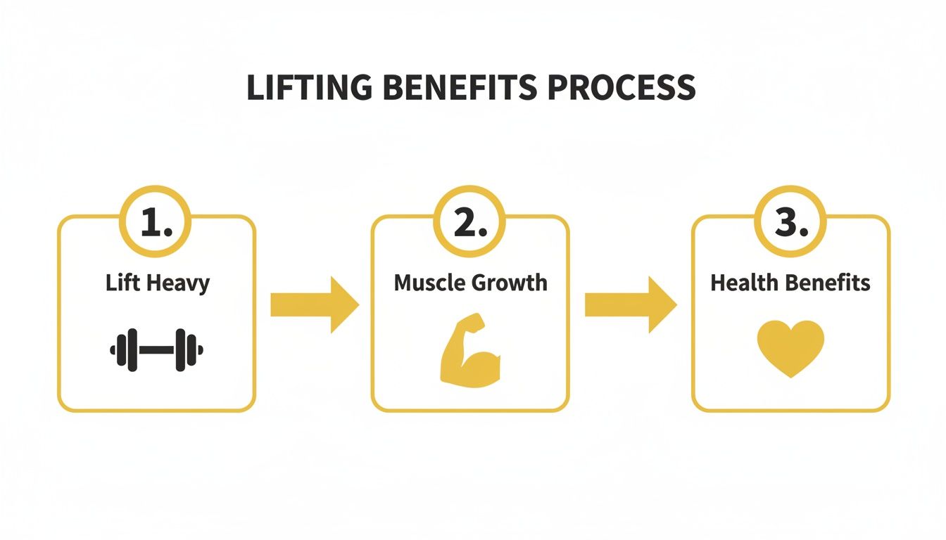 Infographic illustrating the process: Lift Heavy leads to Muscle Growth, resulting in Health Benefits.