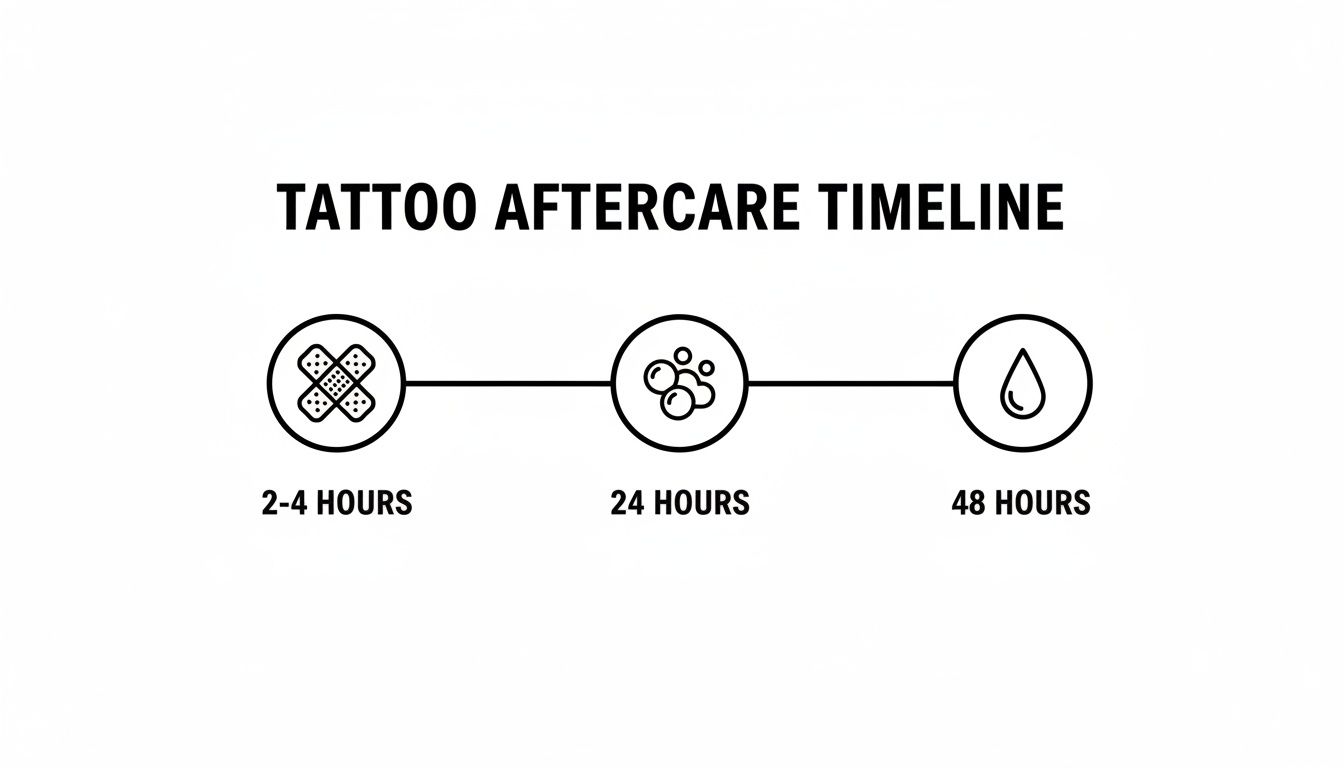 A visual timeline illustrating tattoo aftercare steps at 2-4 hours, 24 hours, and 48 hours.