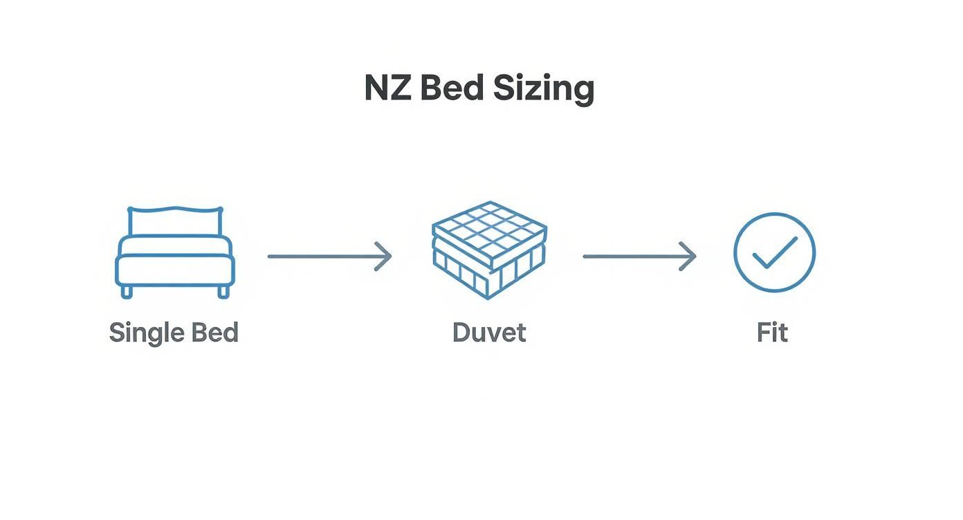 Diagram showing NZ bed sizing compatibility from single bed to duvet to fit confirmation