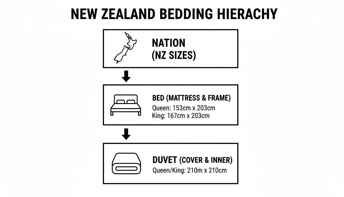Flowchart illustrating New Zealand bedding hierarchy with specific mattress and duvet dimensions.