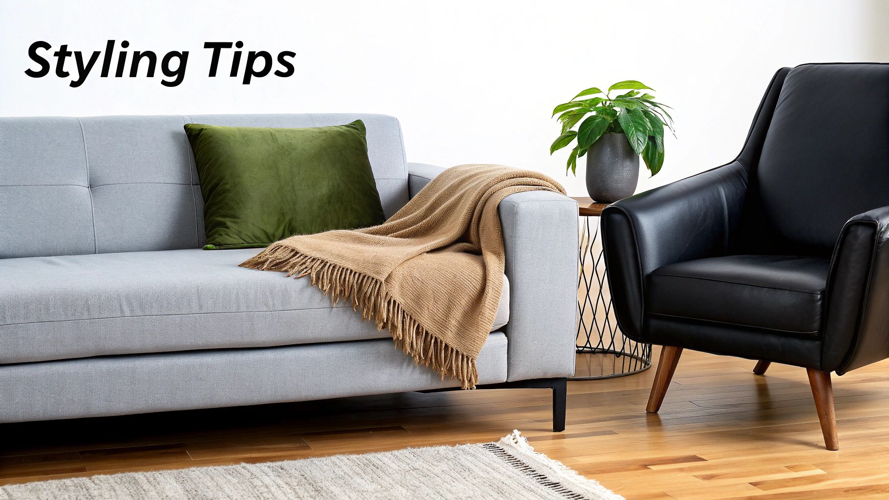 A stylish living room with a grey sofa, green pillow, fringed throw, black armchair, and plant.