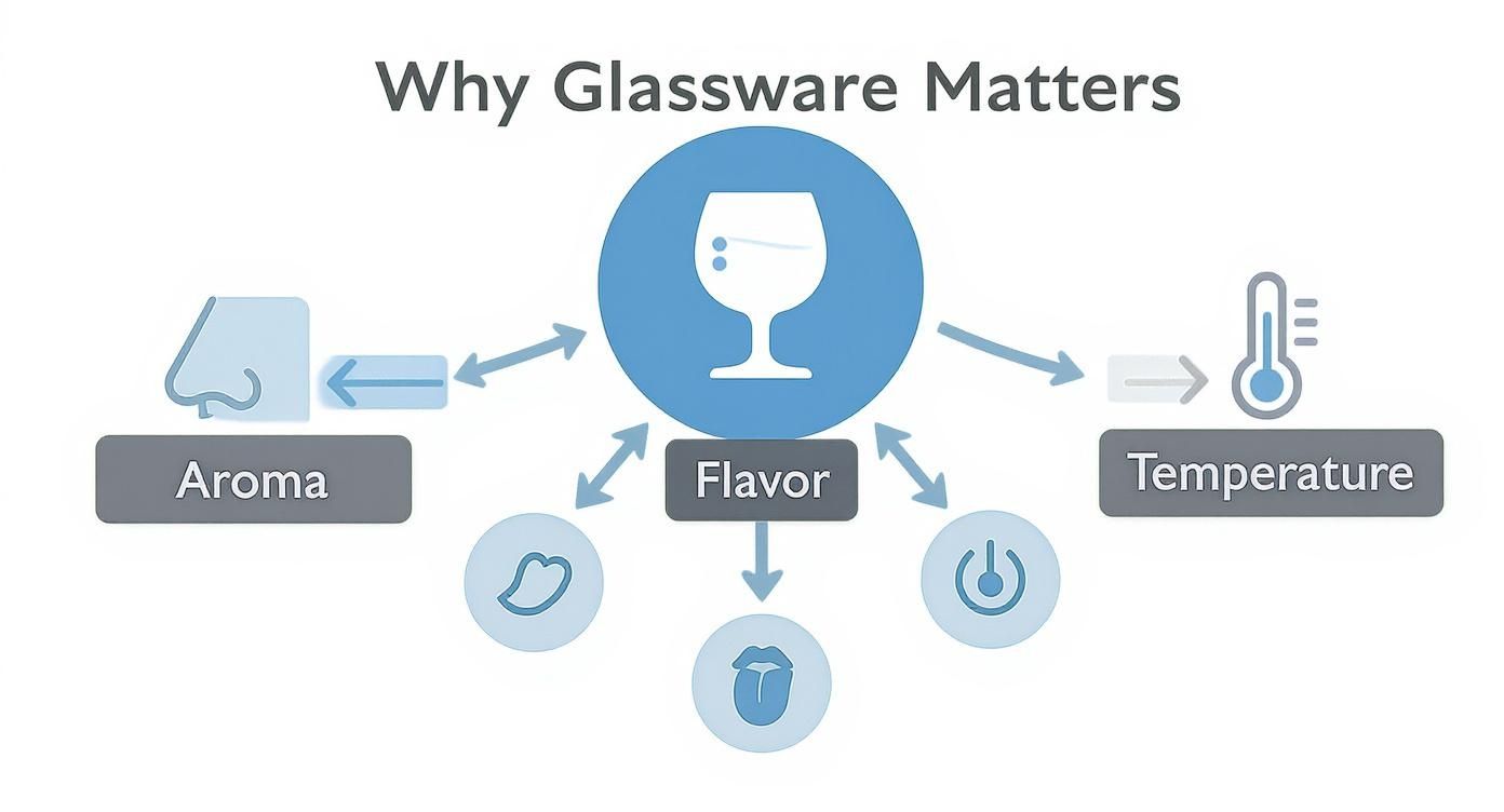 Diagram explaining how glassware affects a beverage, influencing aroma, flavor, and temperature perception.