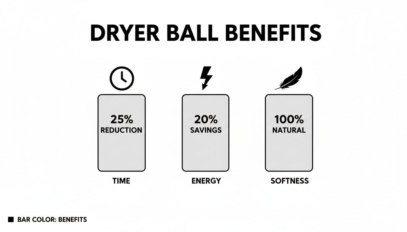 Infographic showing dryer ball benefits: 25% time reduction, 20% energy savings, and 100% natural softness.
