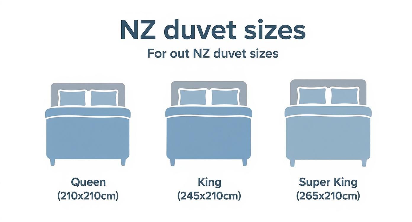 Infographic about new zealand duvet sizes