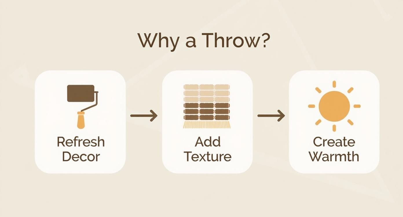 Infographic about throws for couches nz