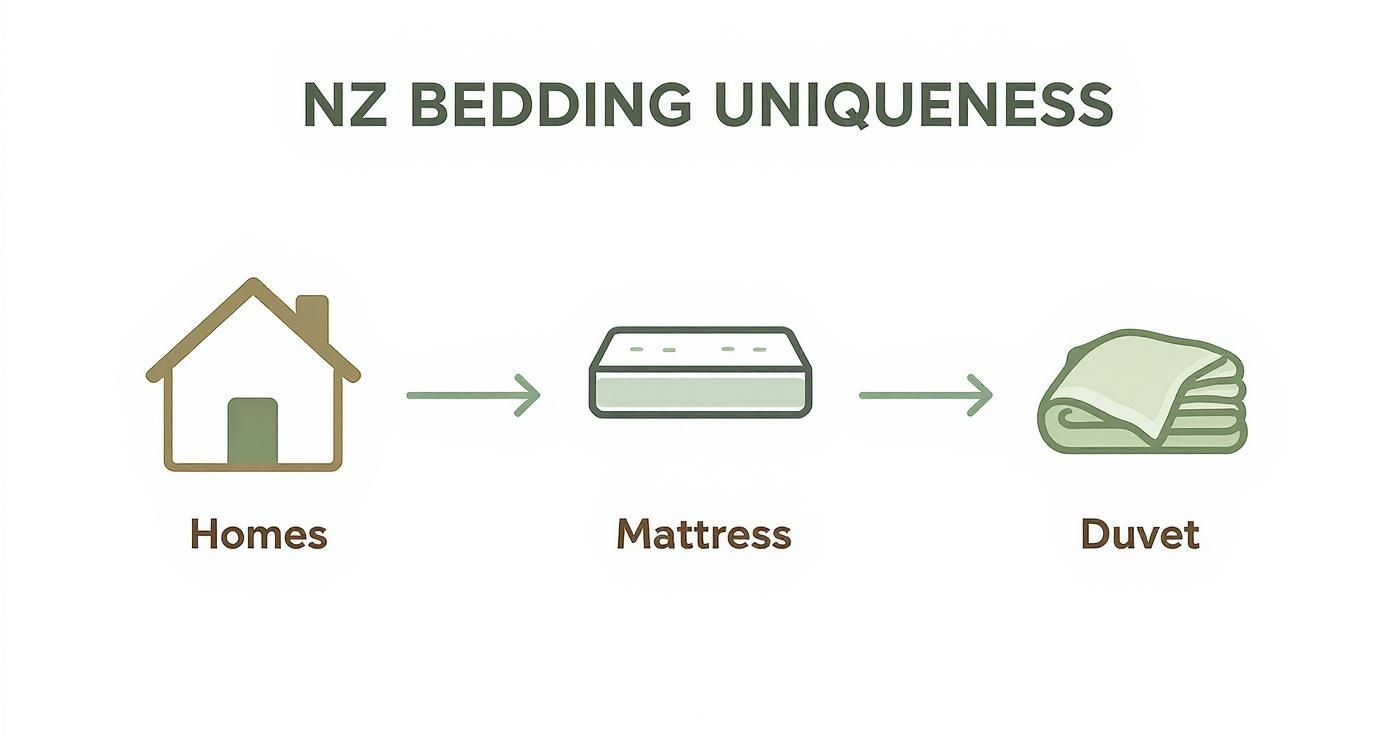 NZ bedding uniqueness diagram illustrating homes, mattresses, and duvets with connecting arrows.