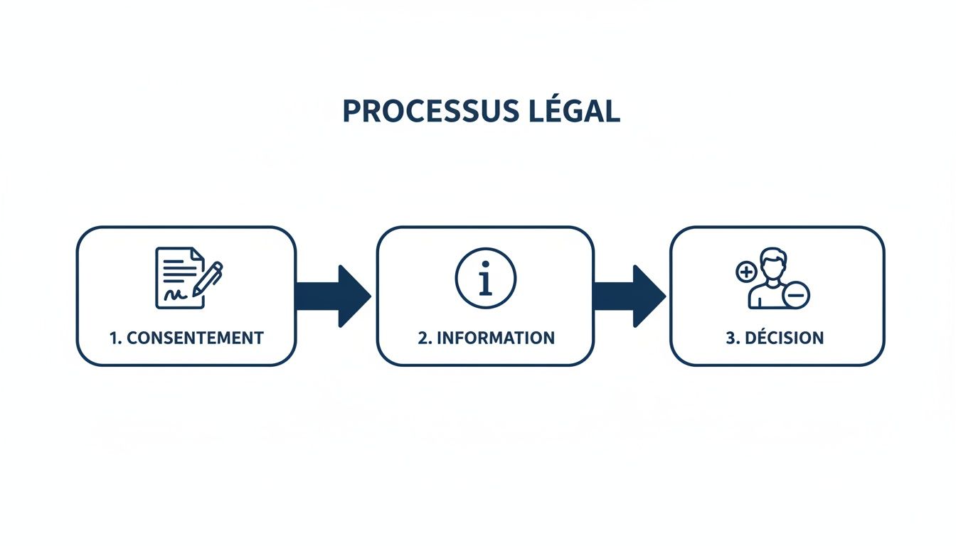 Un schéma visuel du processus légal en trois étapes : consentement, information et prise de décision, avec des icônes claires.