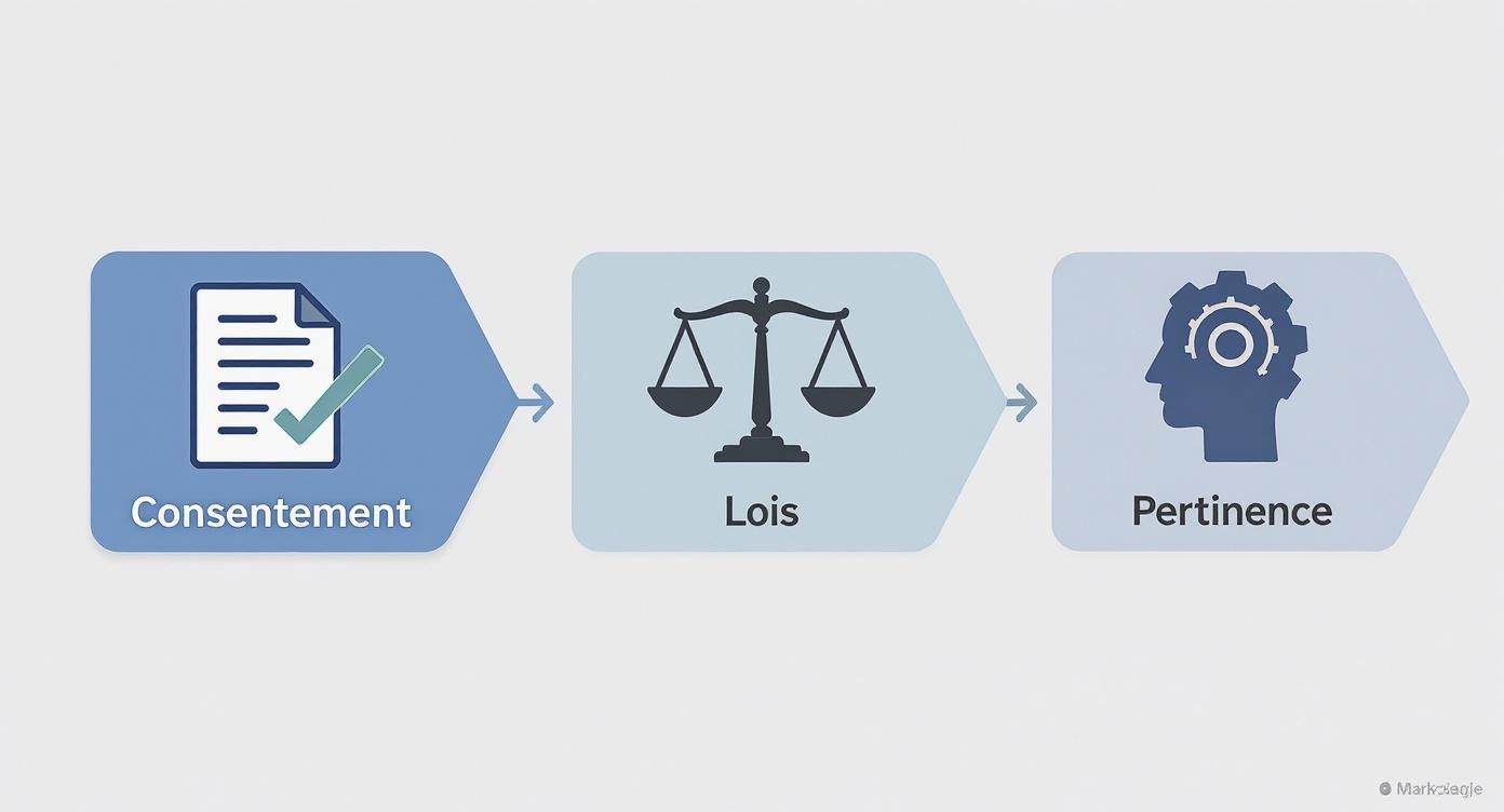 Infographic about vérification des antécédents judiciaires