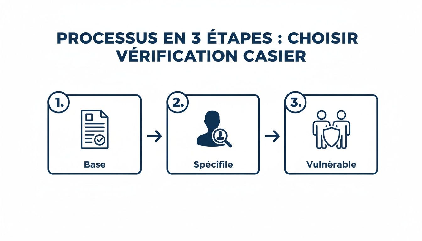 Diagramme montrant les 3 étapes de vérification de casier judiciaire : Base, Spécifique, et Vulnérable.