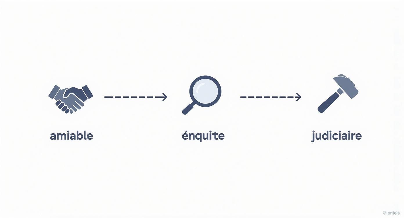 Infographic about debt collection agencies