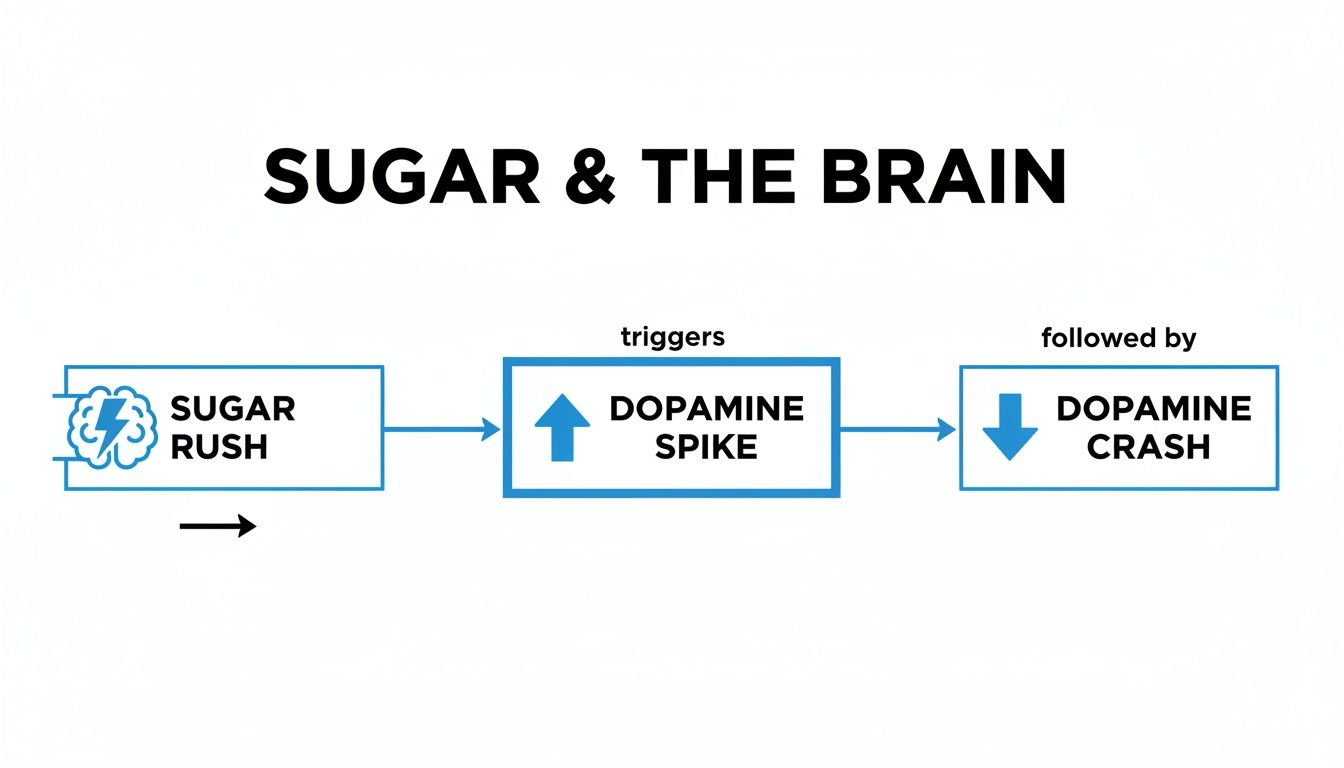 what-are-the-symptoms-of-sugar-withdrawal-sugar-brain.jpg