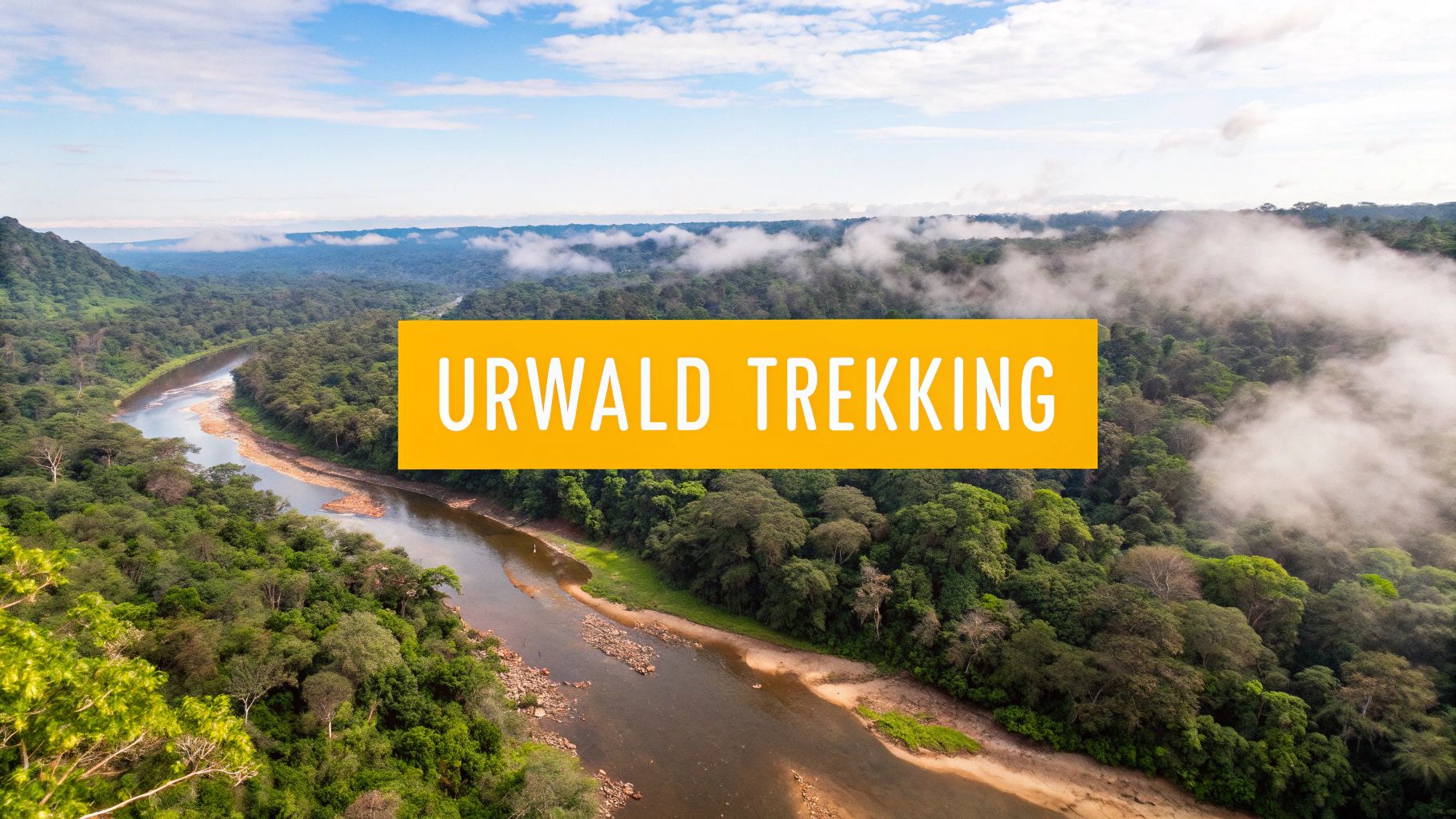 Daintree Rainforest, Queensland
