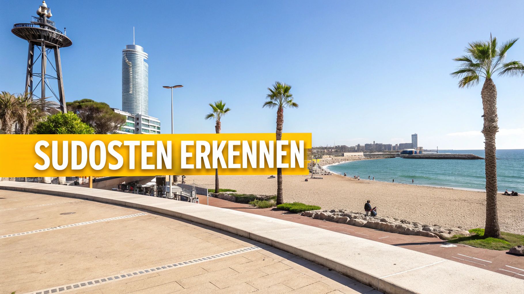 Eine Luftaufnahme der berühmten Skyline von Sydney mit der Harbour Bridge und dem Opera House.