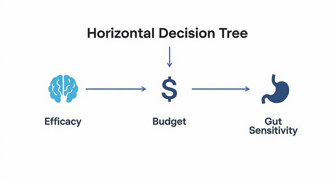 Infographic about best creatine for muscle growth