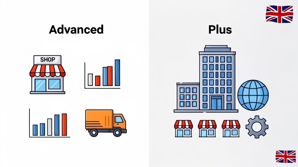 Infographic comparing 'Advanced' and 'Plus' business plans with icons representing single stores, analytics, logistics, and global enterprise.