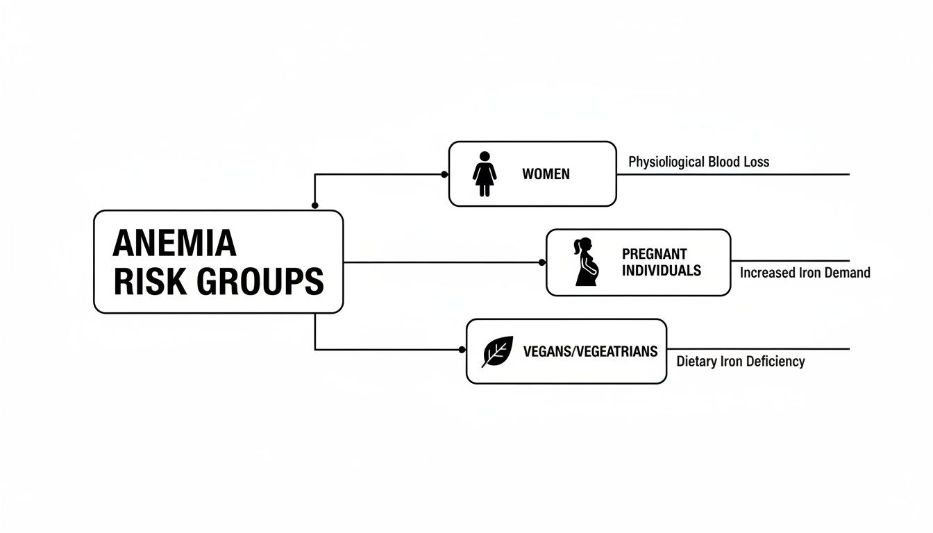Flowchart outlining anemia risk groups: women, pregnant individuals, and vegans/vegetarians with their causes.