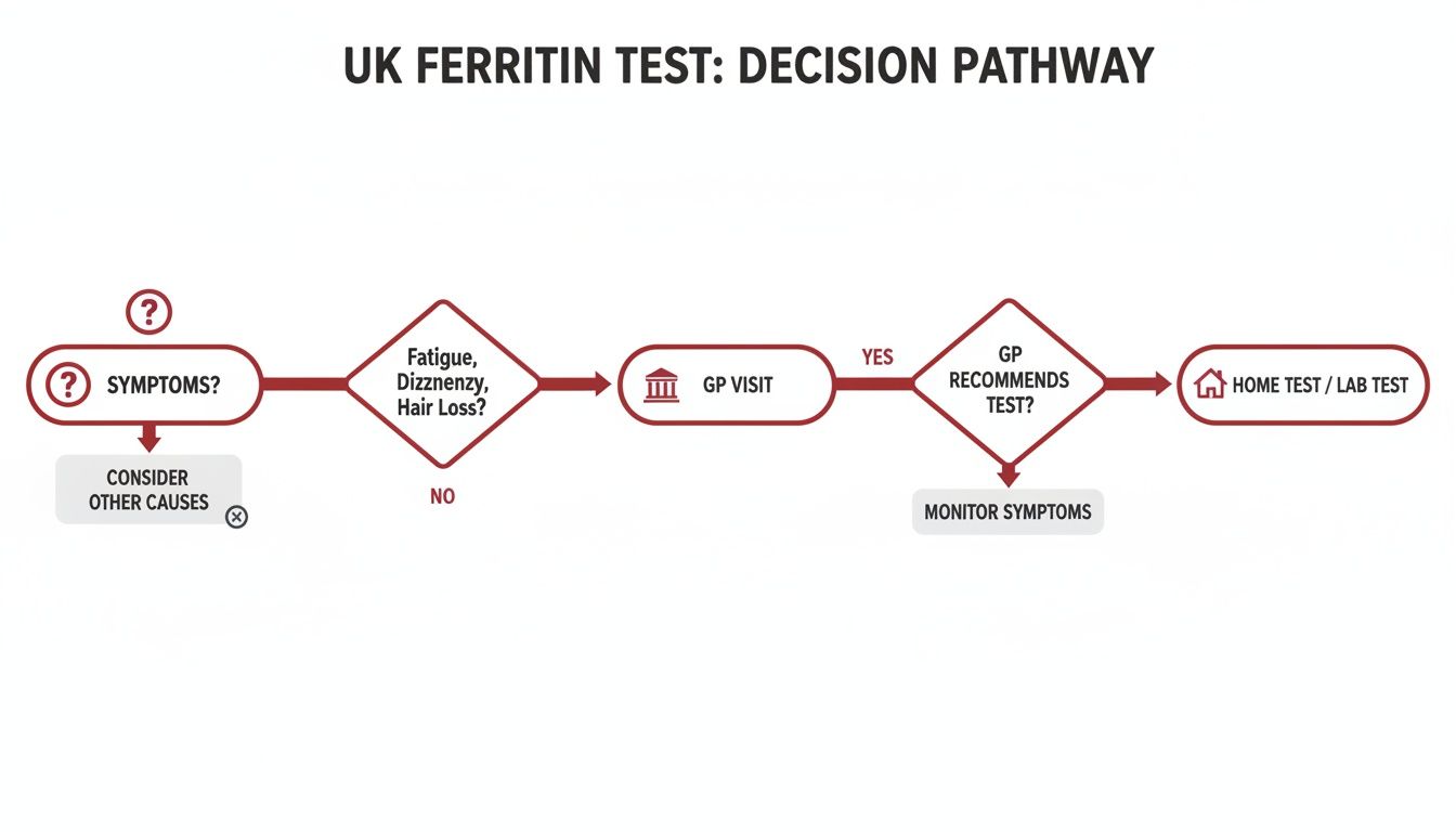 Decision pathway for UK ferritin testing, guiding patients from symptoms through GP consultation to blood tests.