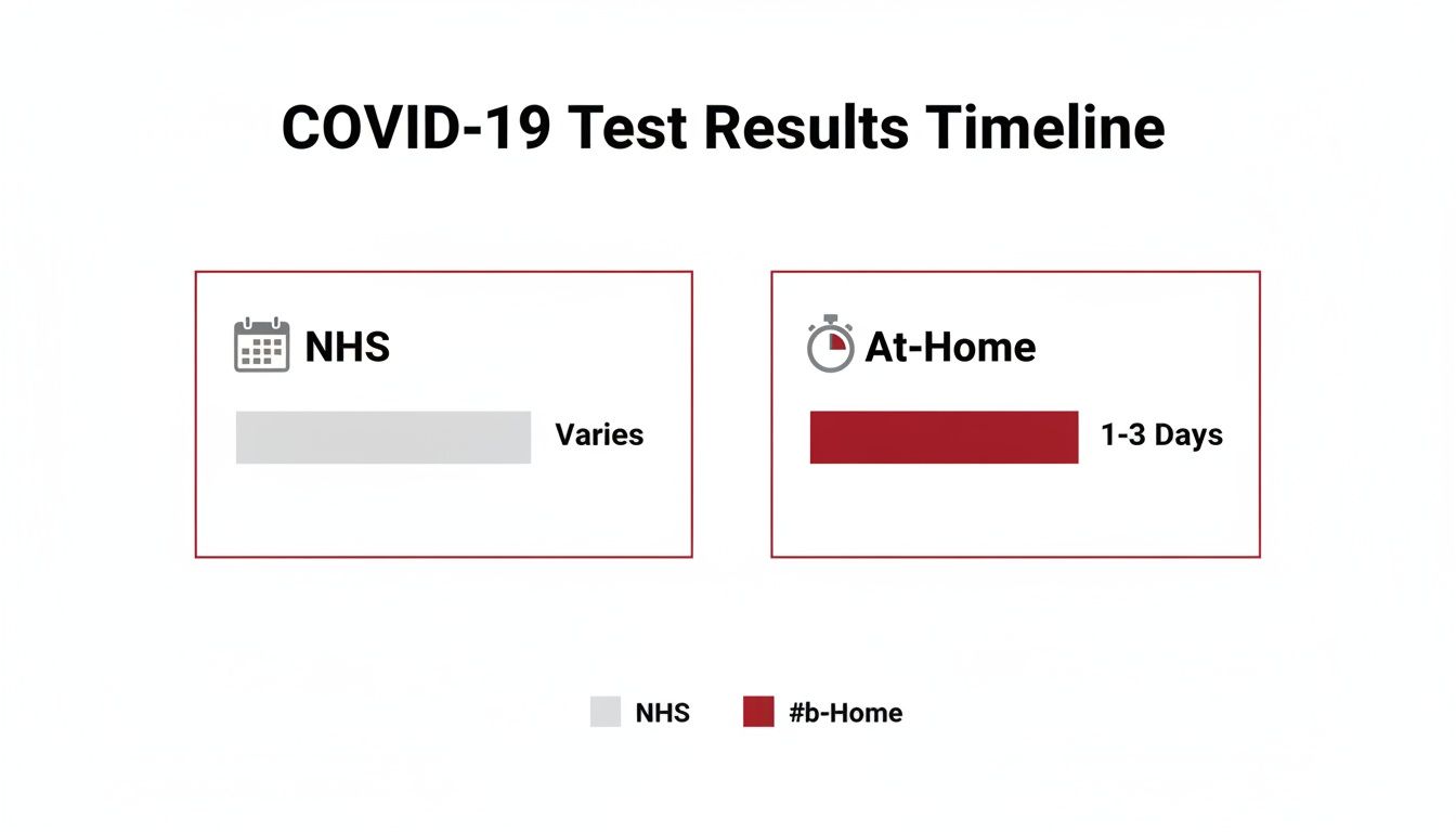 Timeline chart comparing COVID-19 test results: NHS results vary, while at-home tests take 1-3 days.
