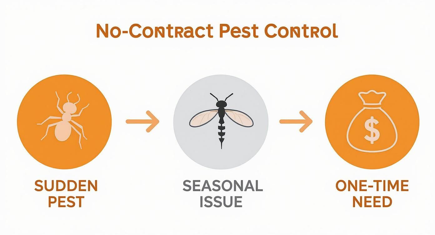 Infographic illustrates no-contract pest control for sudden pests, seasonal issues, and one-time needs.