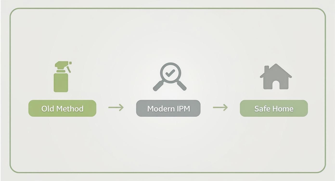 Flowchart showing how modern Integrated Pest Management (IPM) leads to a safe home, replacing old spray methods.
