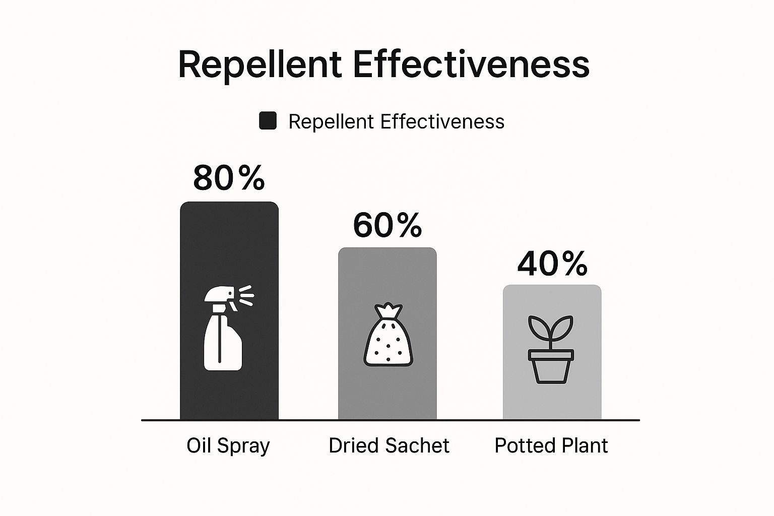 Does Lavender Repel Ants? A Practical Guide