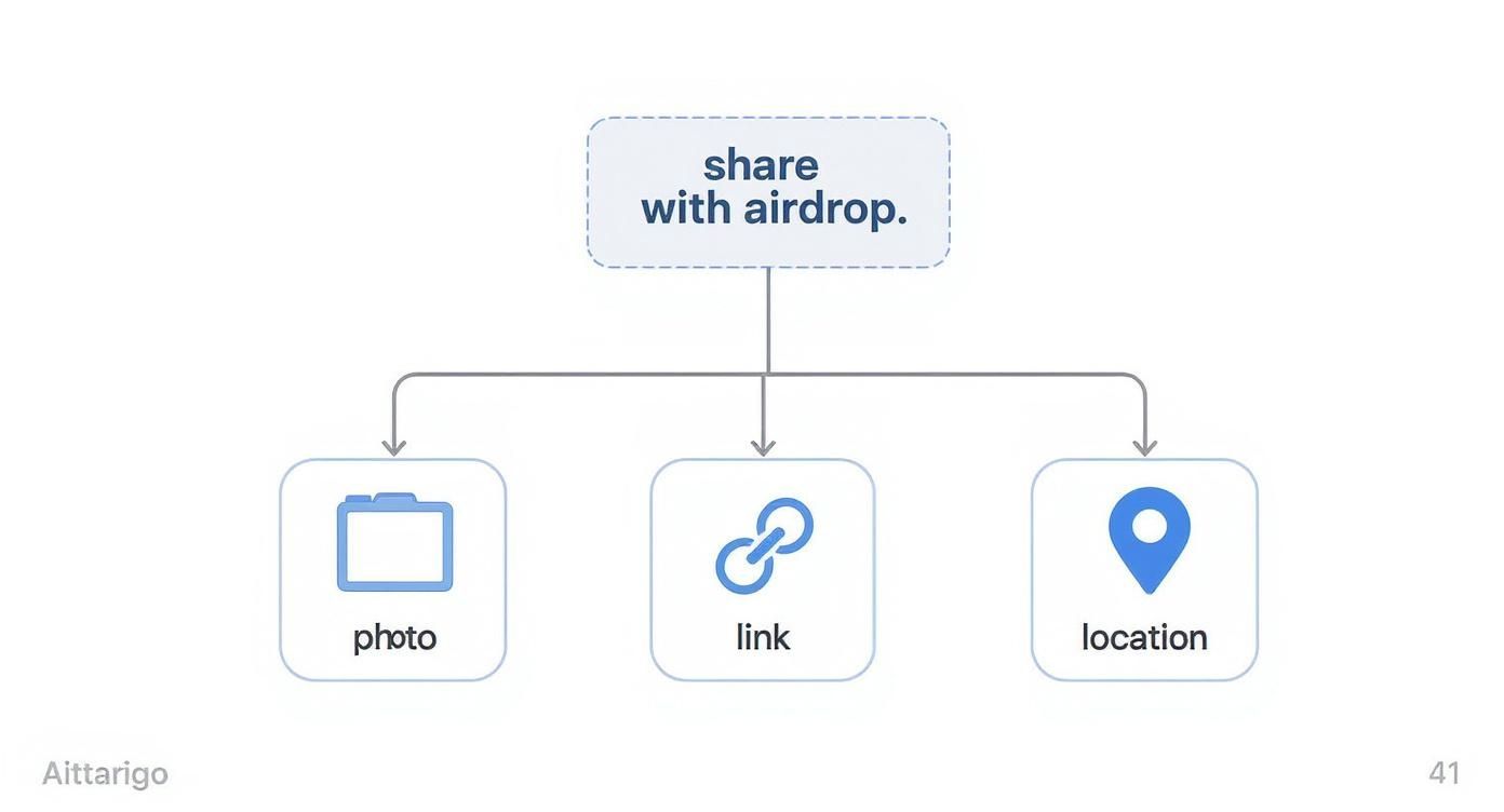Infographic about share with airdrop