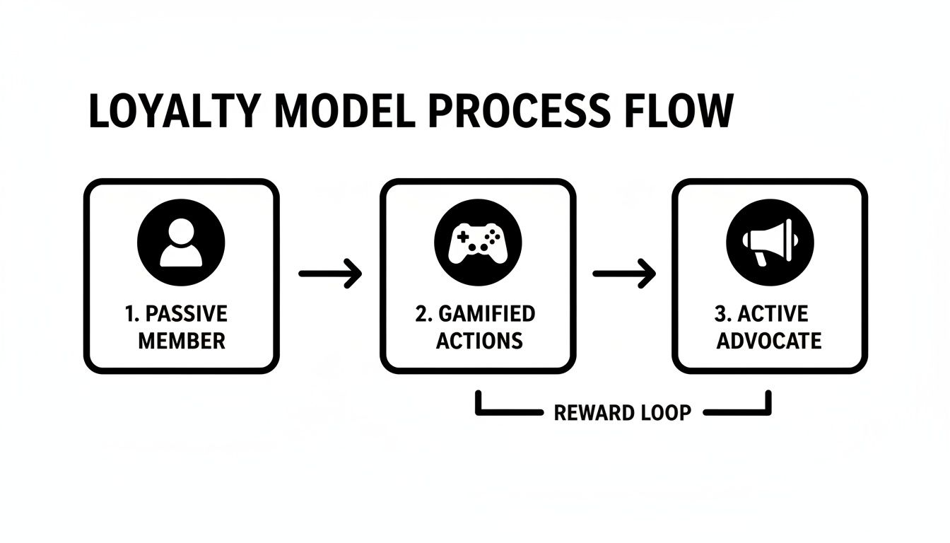 A loyalty model process flow diagram showing the journey from passive member to active advocate through gamified actions and a reward loop.