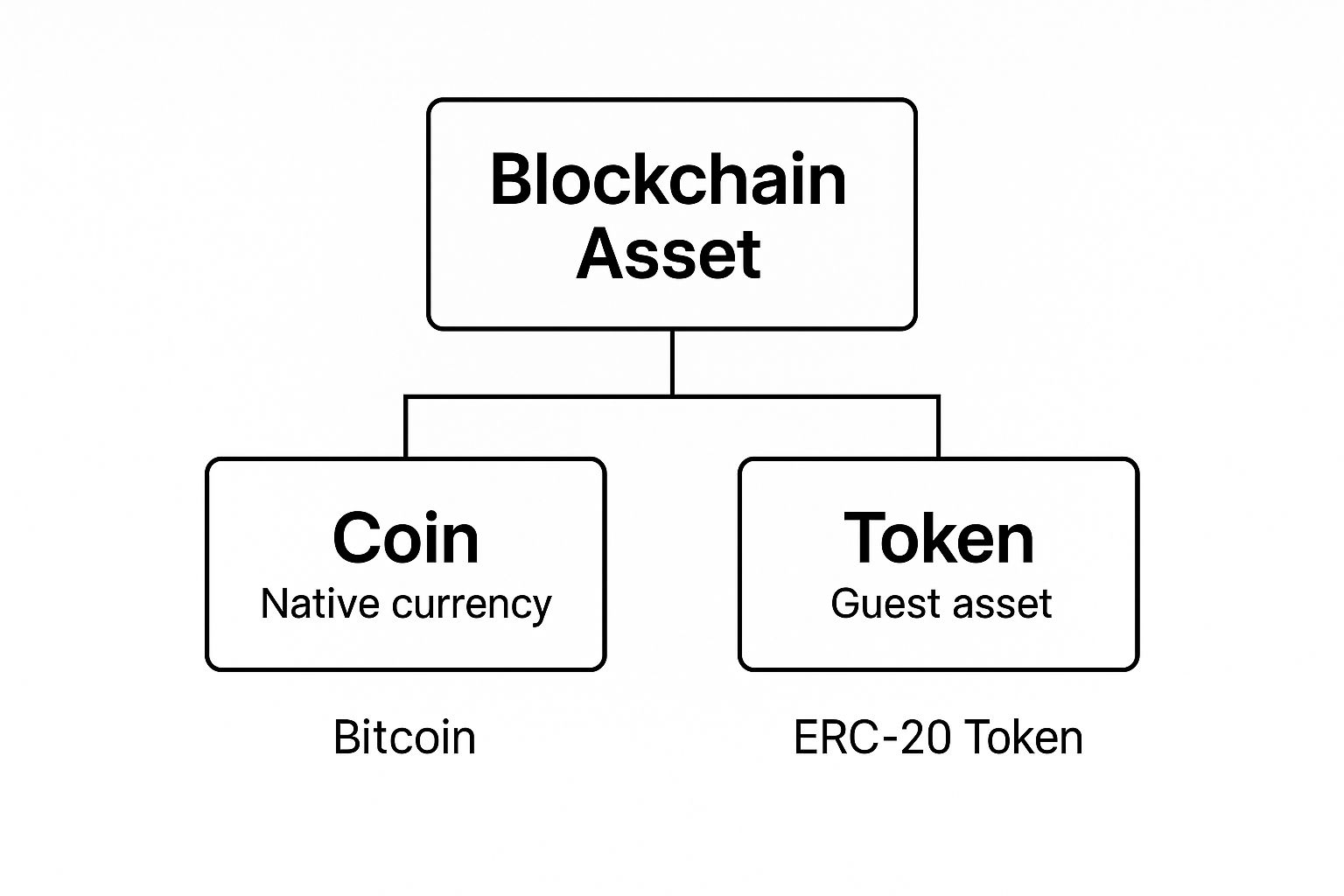 Infographic about what is crypto token