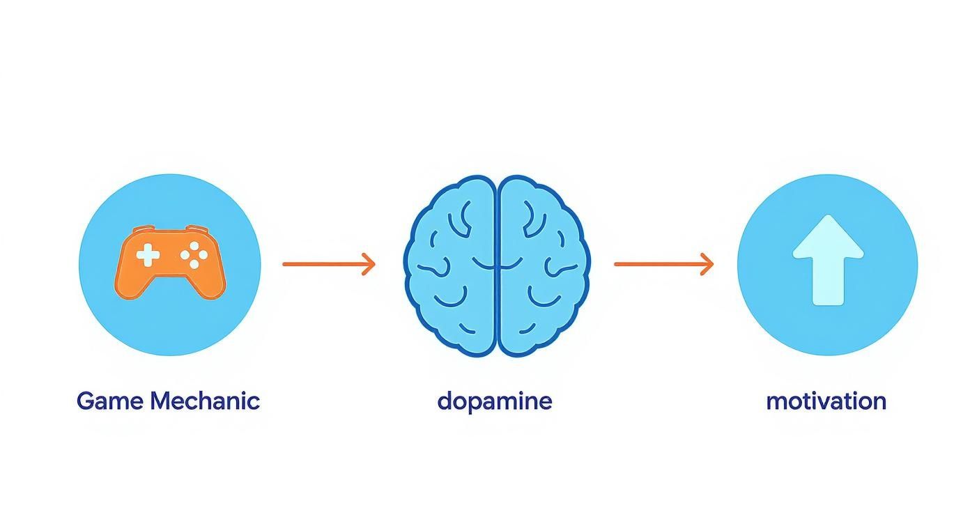Infographic about gamified task manager