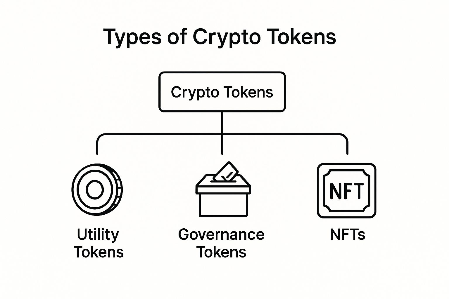 Infographic about token and cryptocurrency