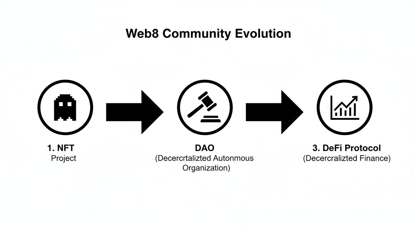Flowchart illustrating the evolution of a Web3 community from NFT projects to DAOs and DeFi protocols.