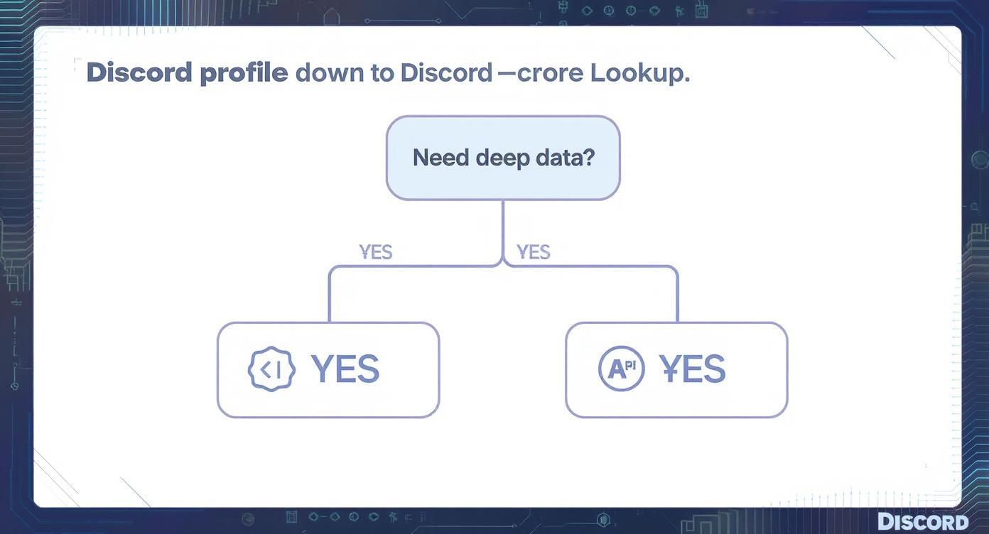 Infographic about discord profile lookup