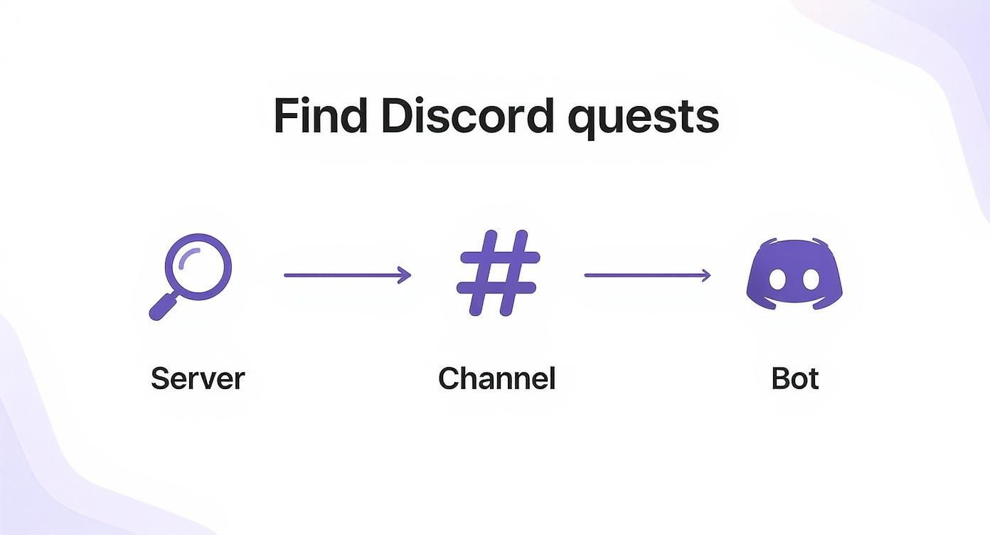 Flowchart illustrating how to find Discord quests by navigating through a server, channel, and bot.